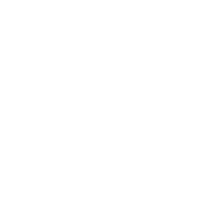 consultant Icon